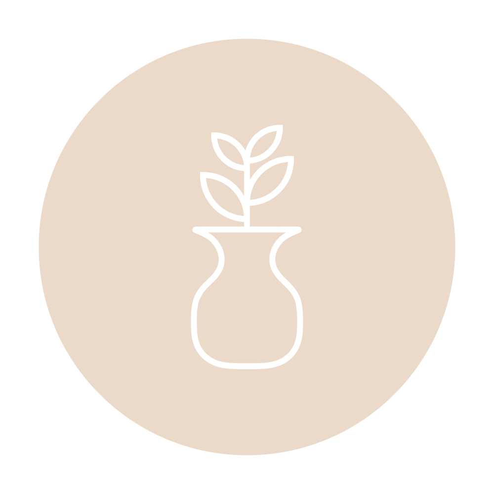vases