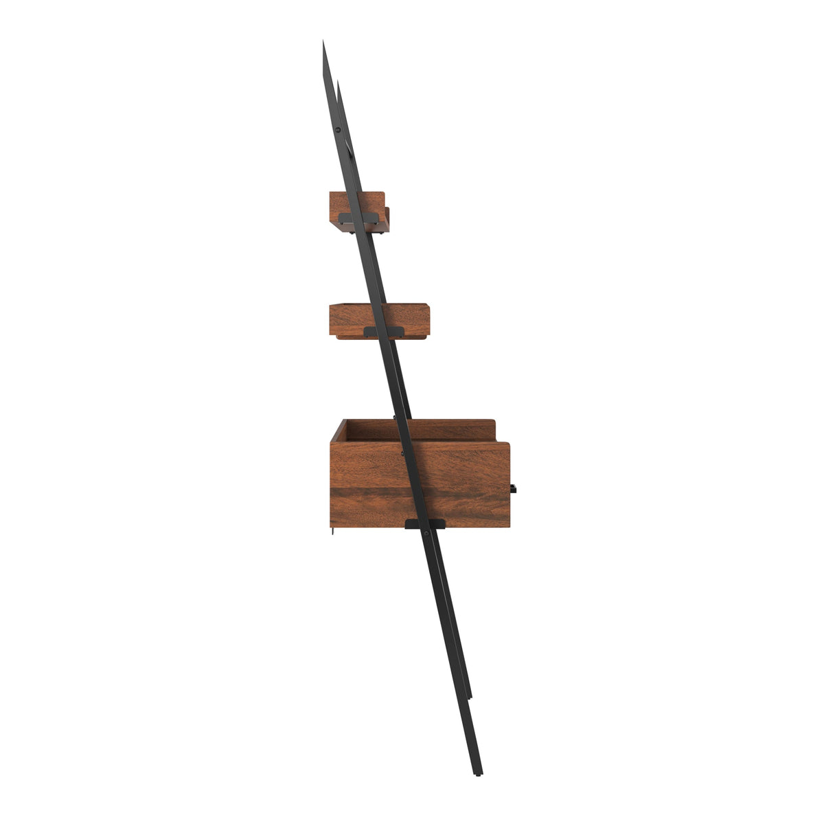 walnut